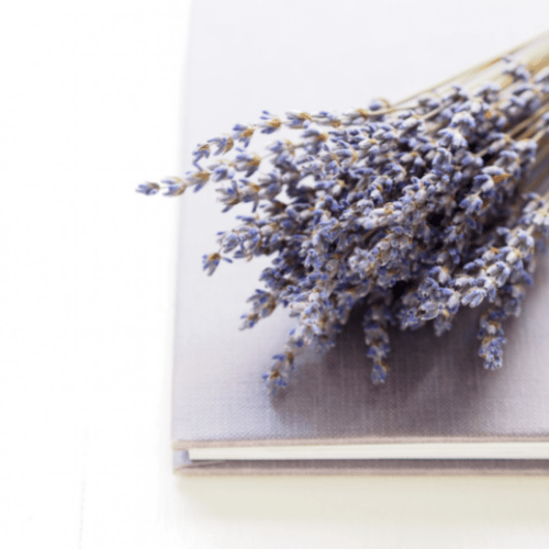 Dried Purple Lavender Bouquet - www.Shopthatapp.com