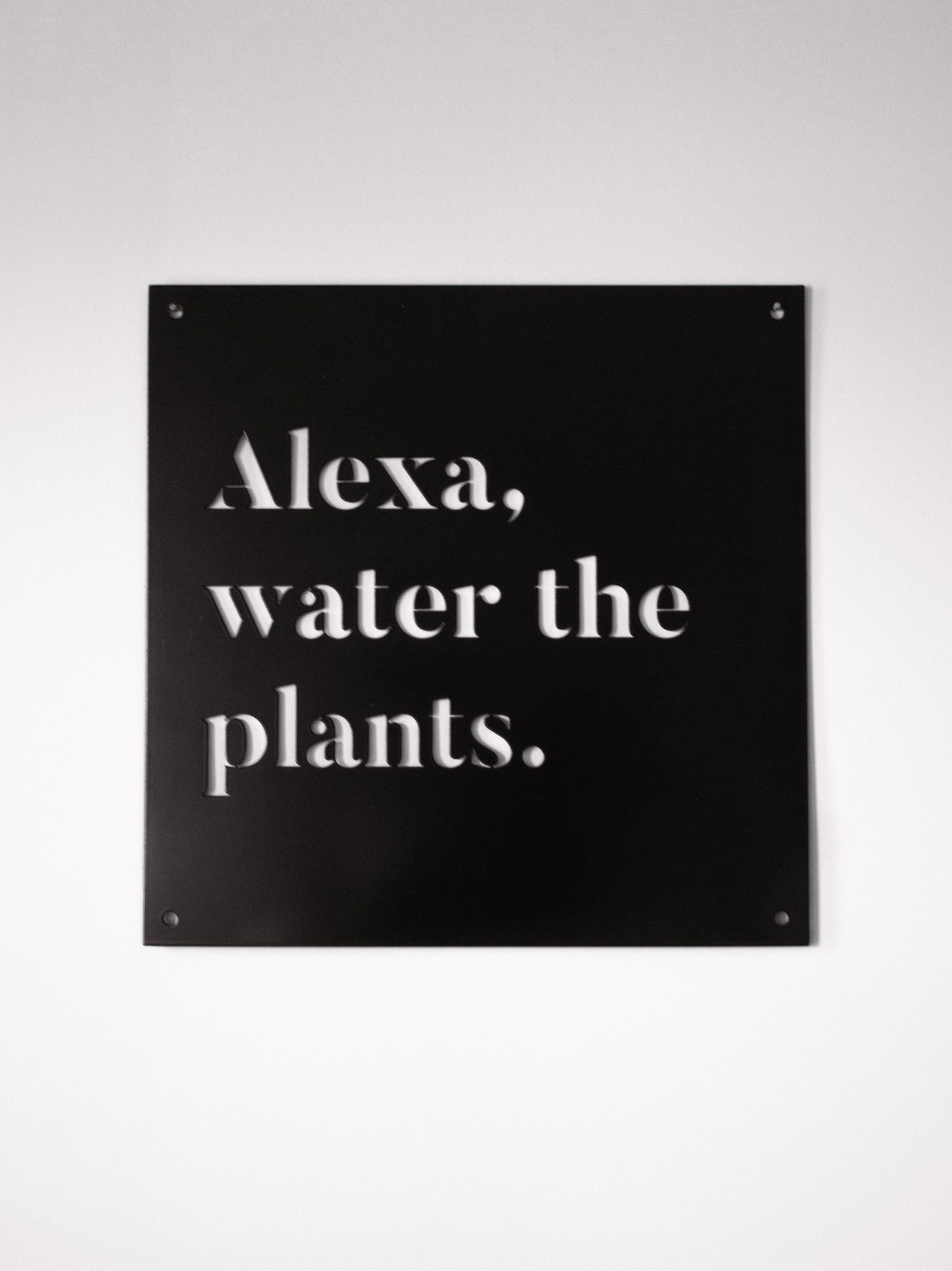 12" x 12" Alexa, arrosez les plantes