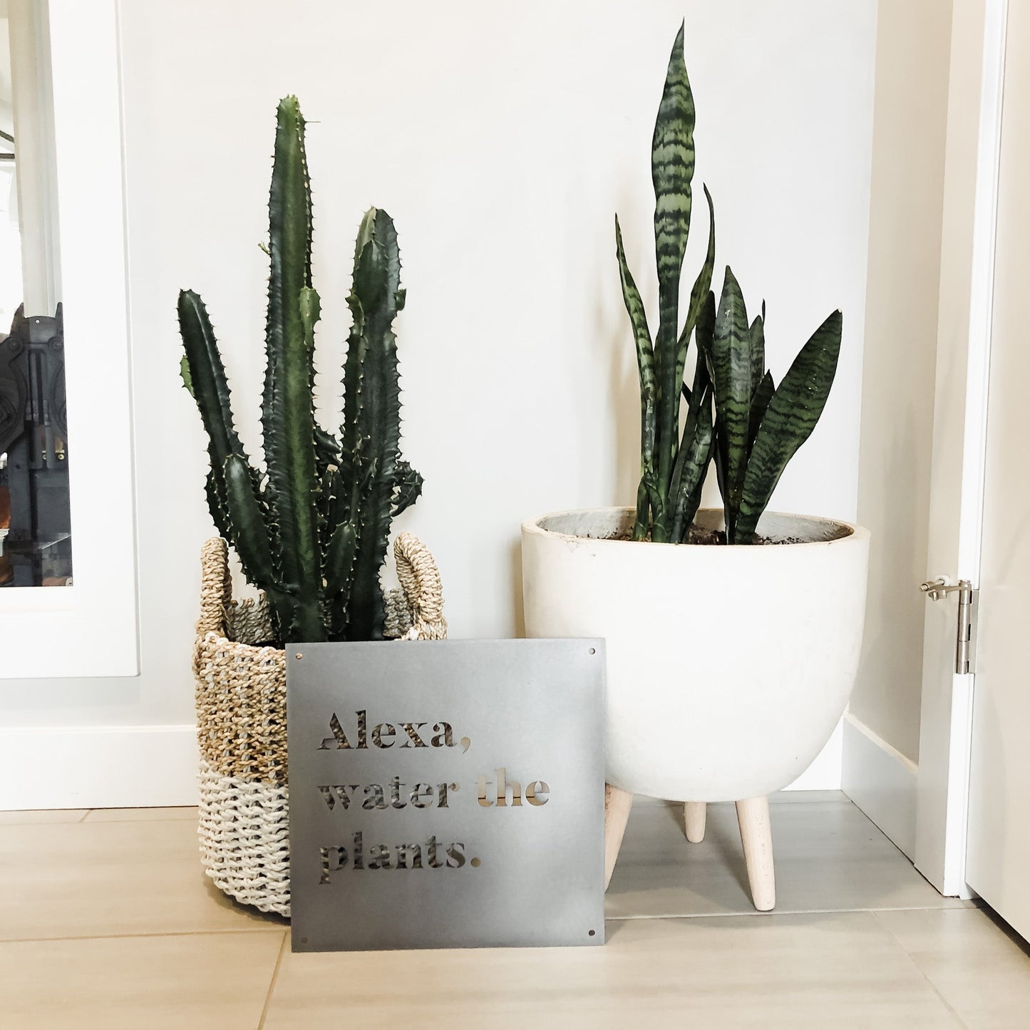 12" x 12" Alexa, arrosez les plantes