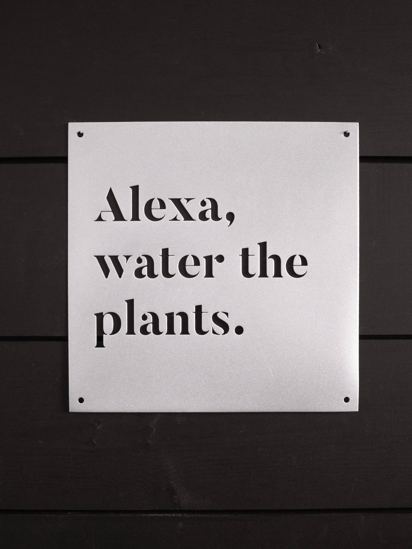 12" x 12" Alexa, arrosez les plantes