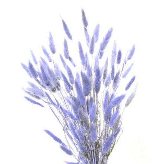 Bunnytails Purple - www.Shopthatapp.com