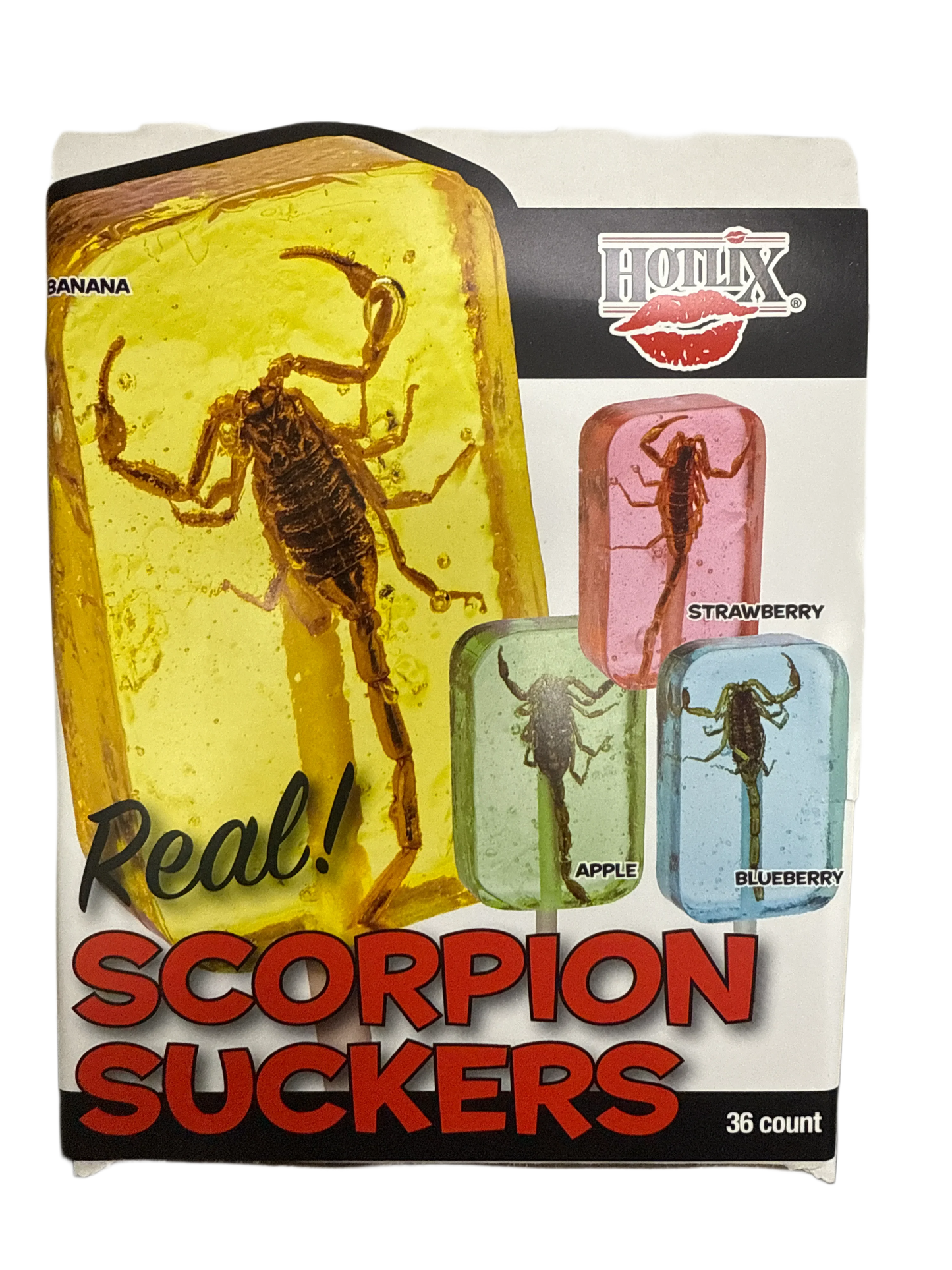 Hotlix Halloween Real Scorpion Suckers 31G - U.S Edition - www.Shopthatapp.com