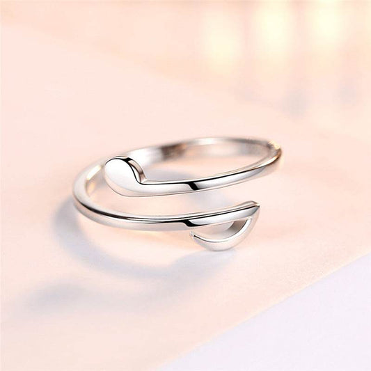 Luxury Jewelry Adjustable Music Rings - www.Shopthatapp.com