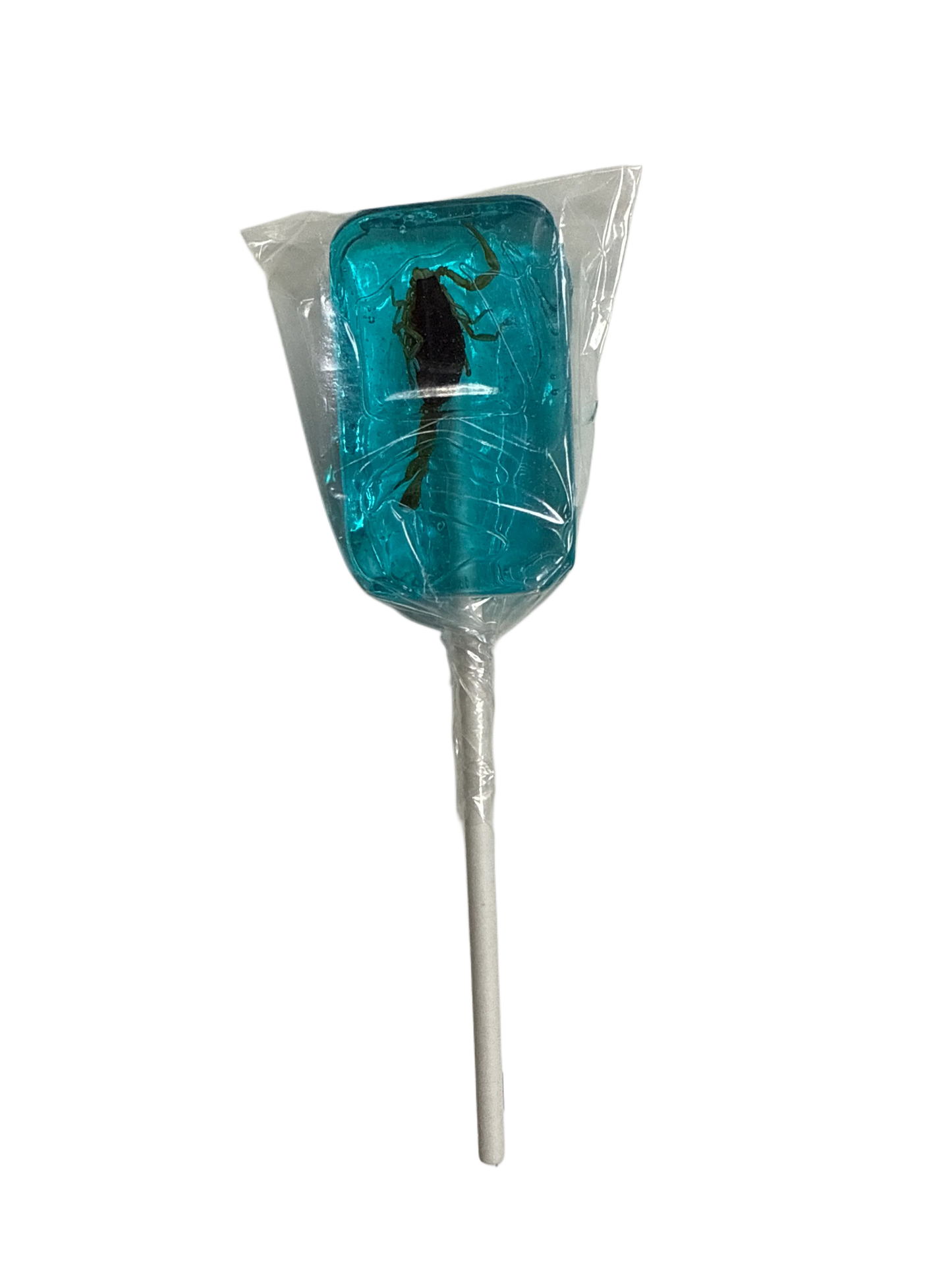 Hotlix Halloween Real Scorpion Suckers 31G - U.S Edition - www.Shopthatapp.com