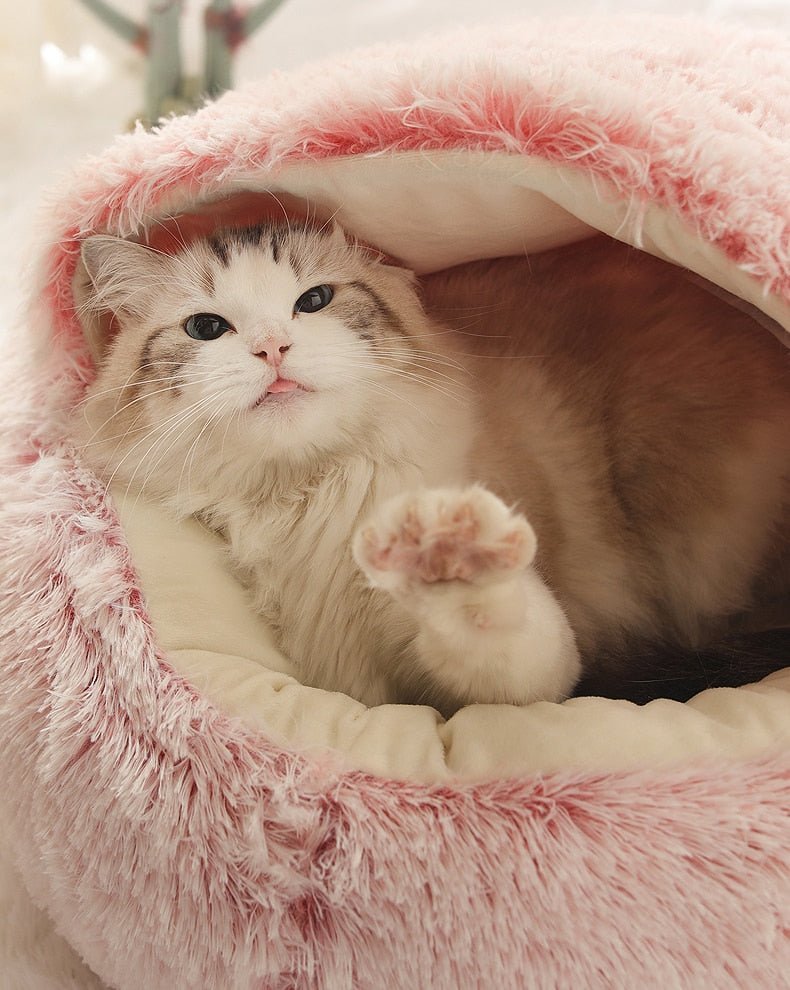 2 In 1 Long Plush Pet Bed - www.Shopthatapp.com