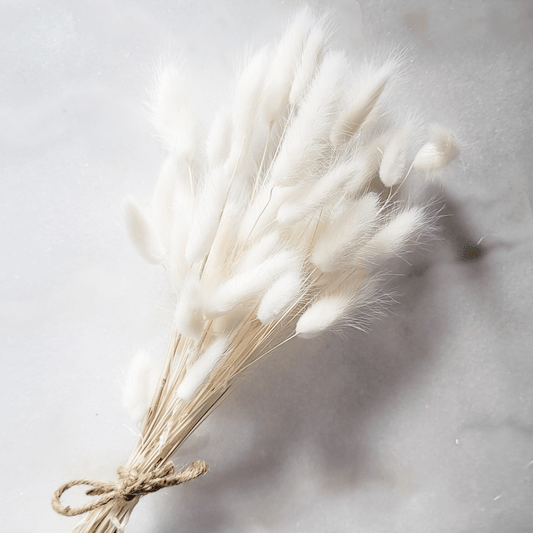 Bunnytails - White - www.Shopthatapp.com