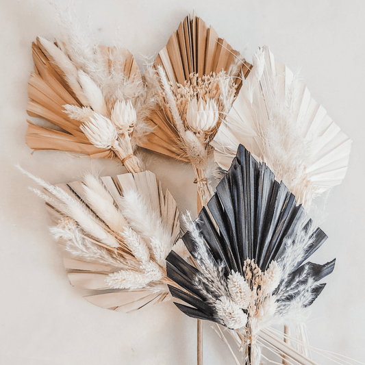 Black Petite Palm Bundle - www.Shopthatapp.com