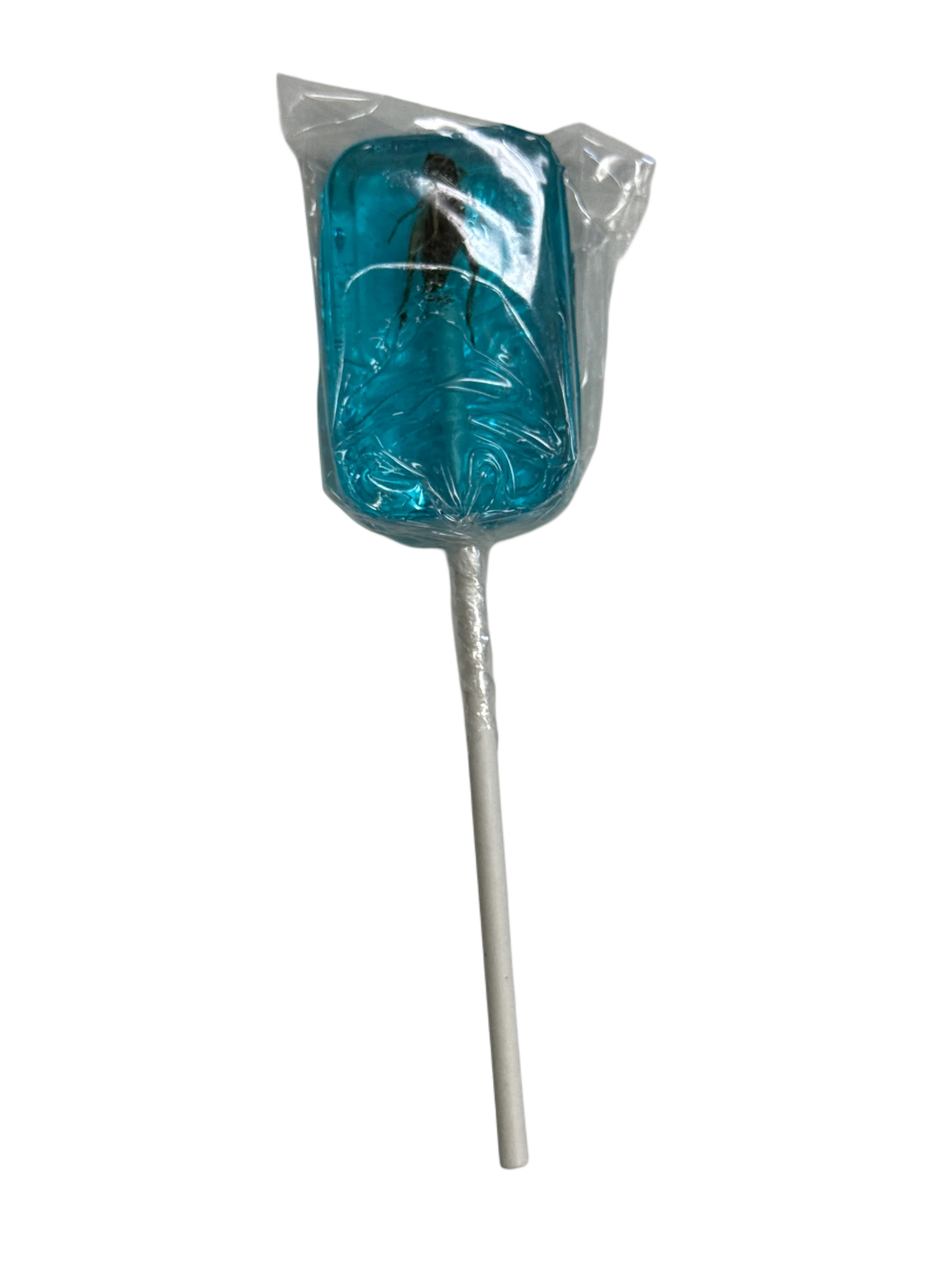 Hotlix Halloween Real Cricket Suckers 31G - U.S Edition - www.Shopthatapp.com