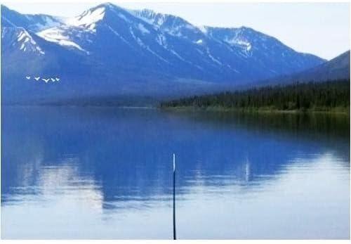 Reel Fishing: Angler's Dream (usagé) - www.Shopthatapp.com