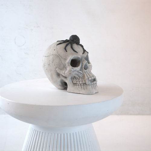 Demon Skull,Suitable For Outdoor Fireplace And Fire Pit, Halloween Decoration - www.Shopthatapp.com