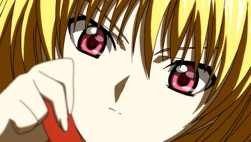 Black Cat: The Complete Series (S.A.V.E.) - www.Shopthatapp.com