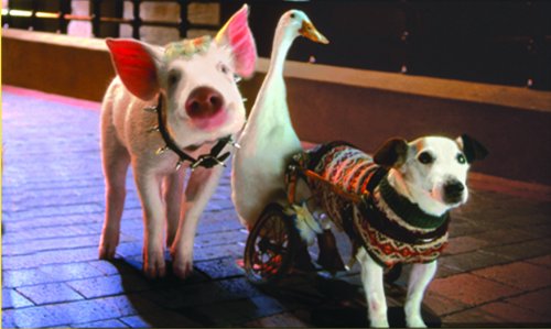 Babe: Pig in the City - Blu-Ray - www.Shopthatapp.com