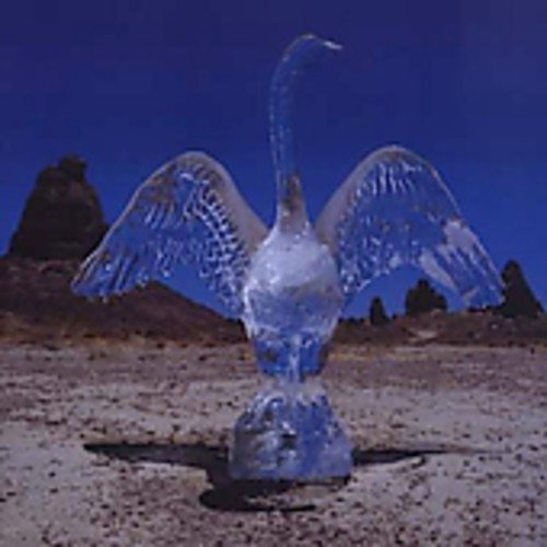 Blinker the Star / August Everywhere - CD (Used) - www.Shopthatapp.com