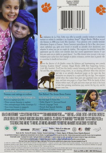 Chestnut (Bilingual) - www.Shopthatapp.com