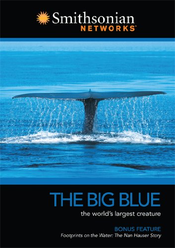 BIG BLUE - www.Shopthatapp.com