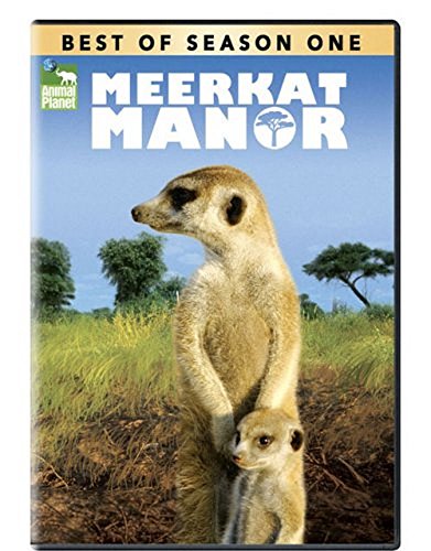 Best of Meerkat Manor / Season 1 - DVD - www.Shopthatapp.com
