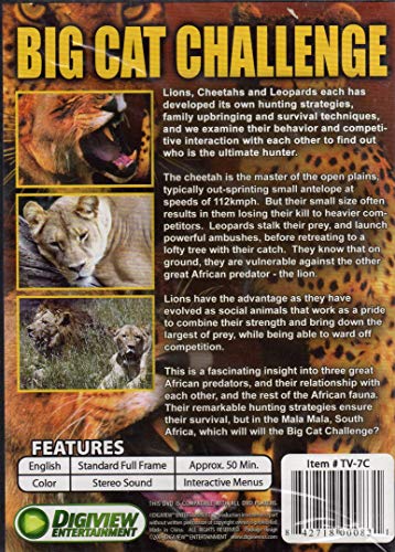 Big Cat Challenge - DVD (Used) - www.Shopthatapp.com