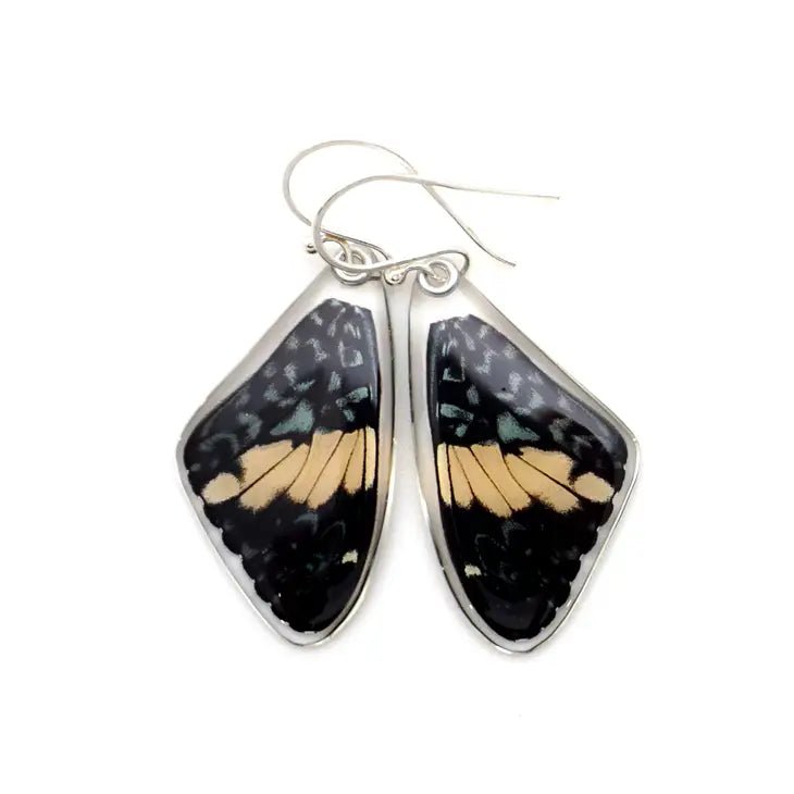 Hamadryas amphinome Stirling Silver Earrings - www.Shopthatapp.com