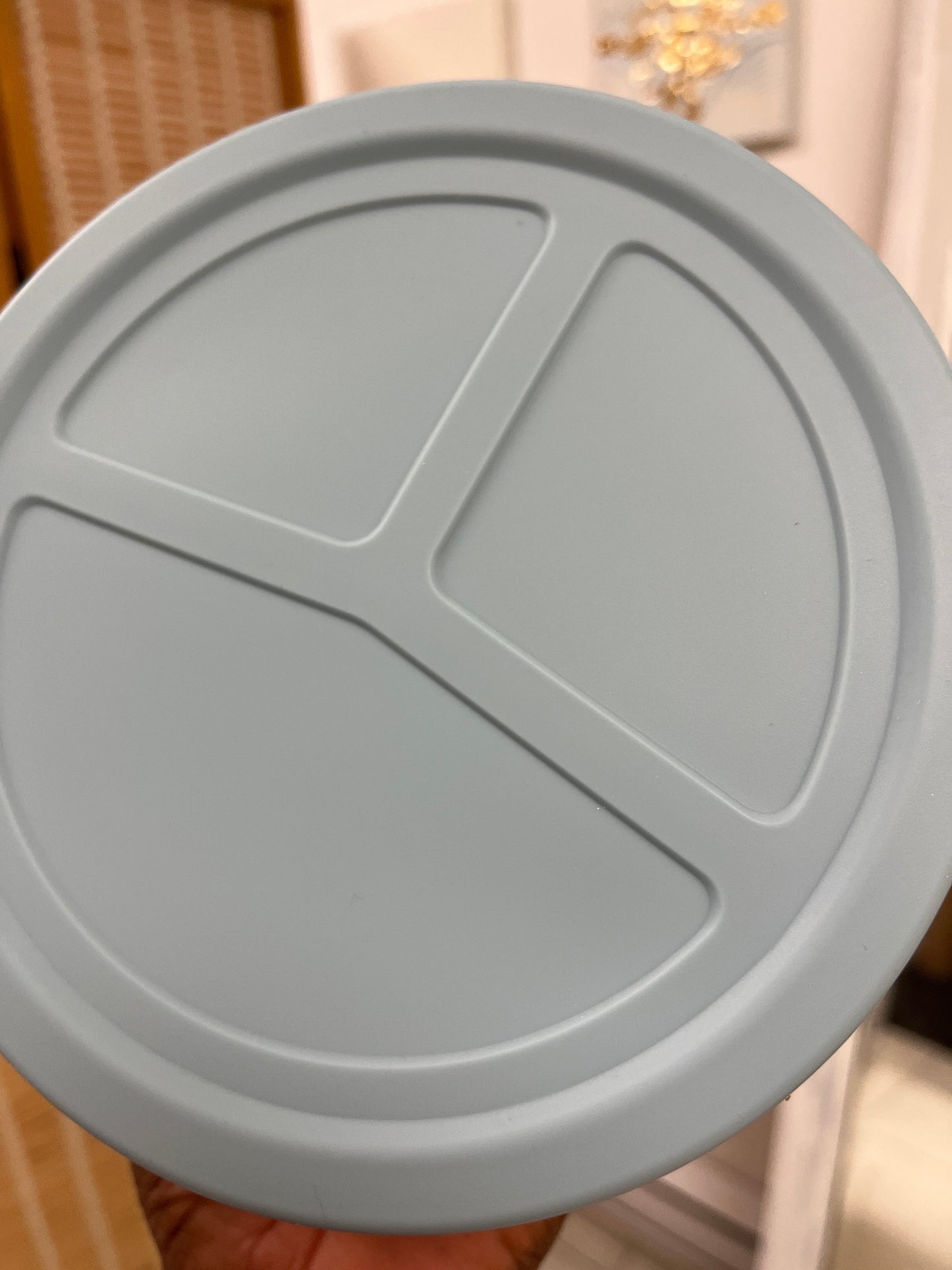 (Copy) Lunch Bento Box - Silicone Bento Boxes for Lunch - www.Shopthatapp.com
