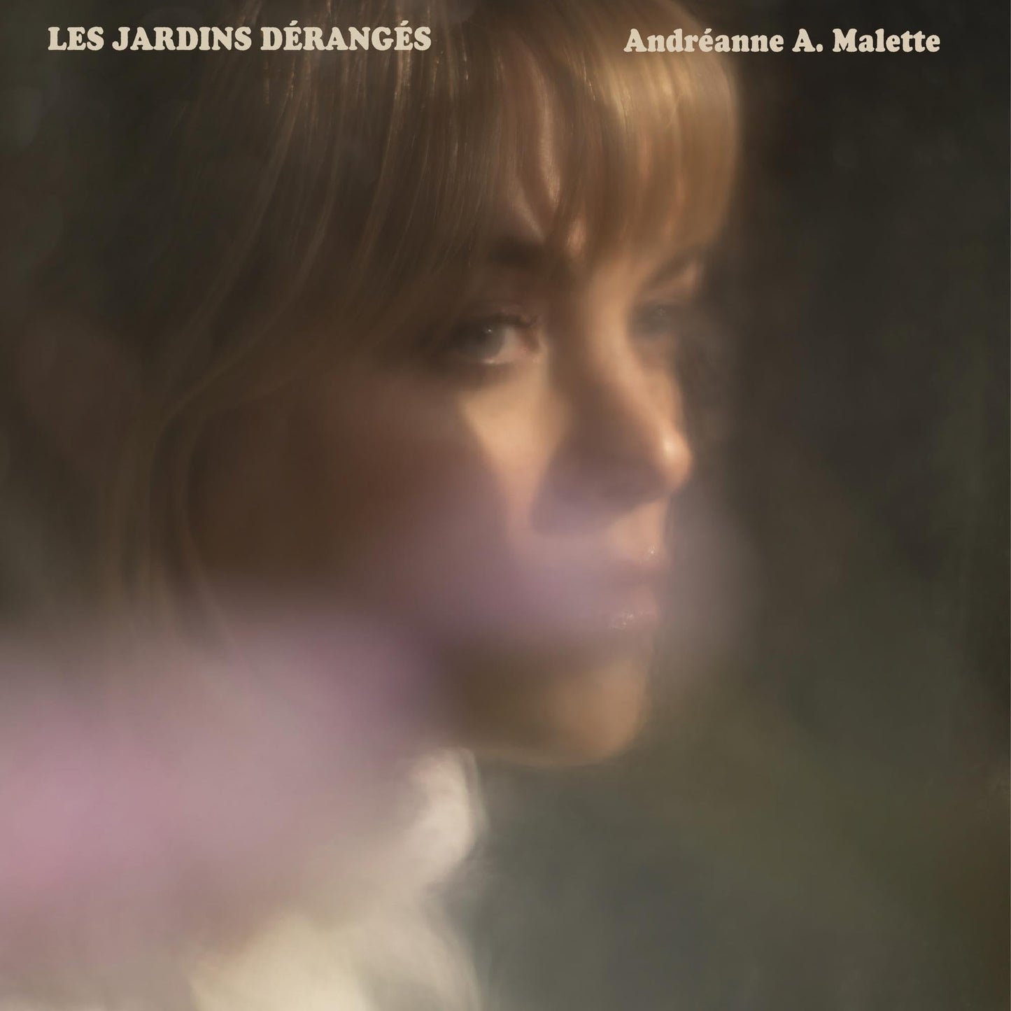 Andreanne A. Malette / Les Jardins Deranges - CD - www.Shopthatapp.com