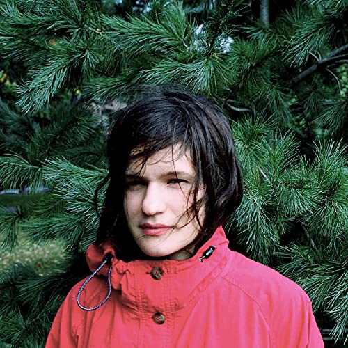 Adrianne Lenker / Hours Were The Birds (Crossfile Big Thief) - LP - www.Shopthatapp.com