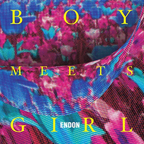 Boy Meets Girl LP - www.Shopthatapp.com
