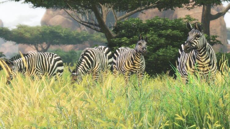 Cabela's African Adventures (usagé) - www.Shopthatapp.com