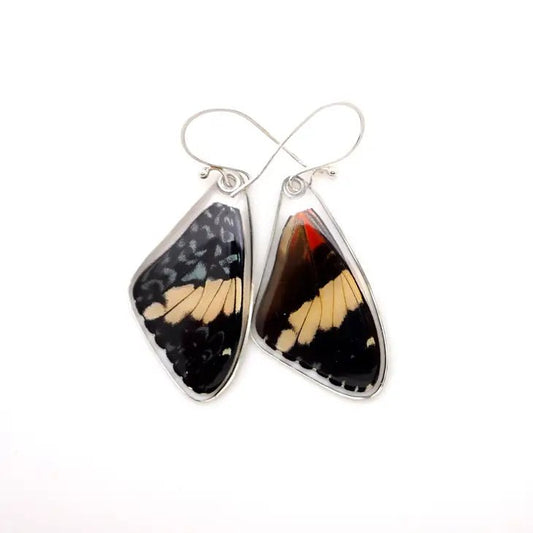 Hamadryas amphinome Stirling Silver Earrings - www.Shopthatapp.com