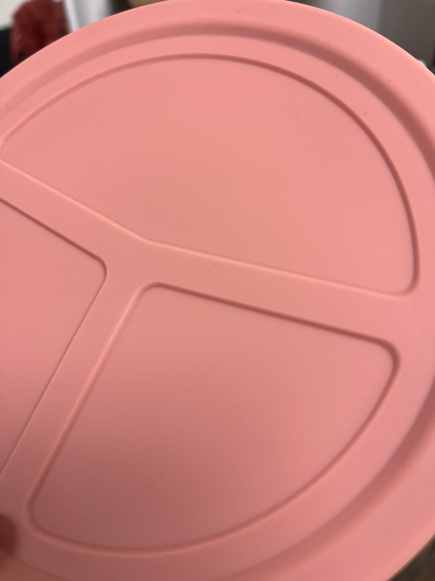 (Copy) Lunch Bento Box - Silicone Bento Boxes for Lunch - www.Shopthatapp.com