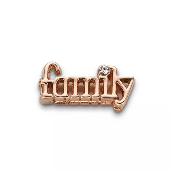 Rose Gold Mesh charms