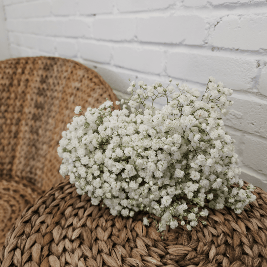 Baby's Breath Bouquet - www.Shopthatapp.com