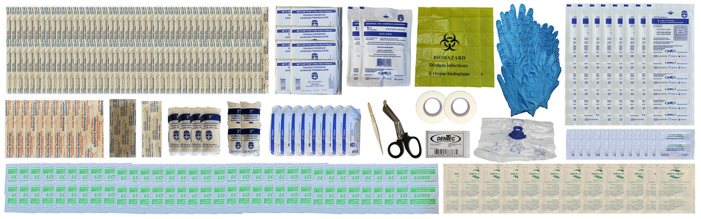 CSA Z1220 - 17 TROUSSE DE PREMIERS SOINS TYPE 2 GRANDE (51 à 100 travailleurs), boîte en plastique