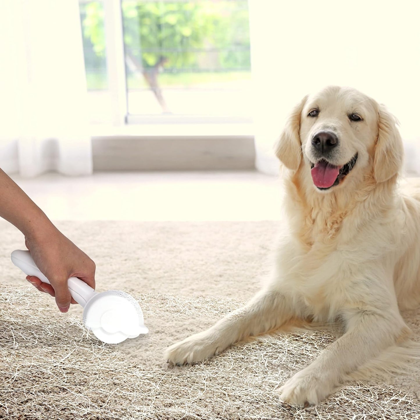 Rouleau anti-peluches réutilisable pour tous les animaux de compagnie. Élimine les poils invisibles.