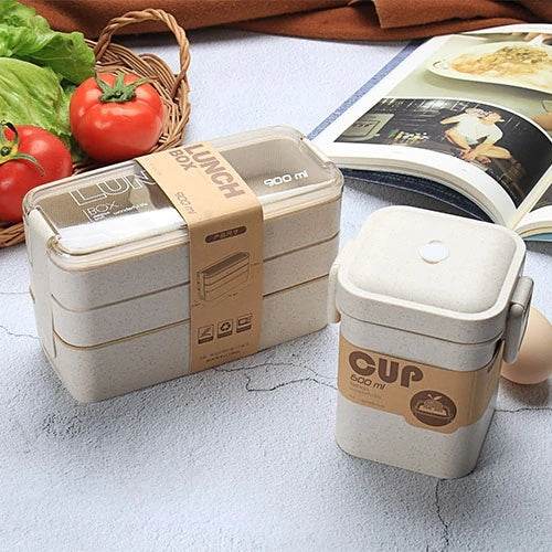 Microwave-Safe Multi Layer Lunch Box for Kids - www.Shopthatapp.com