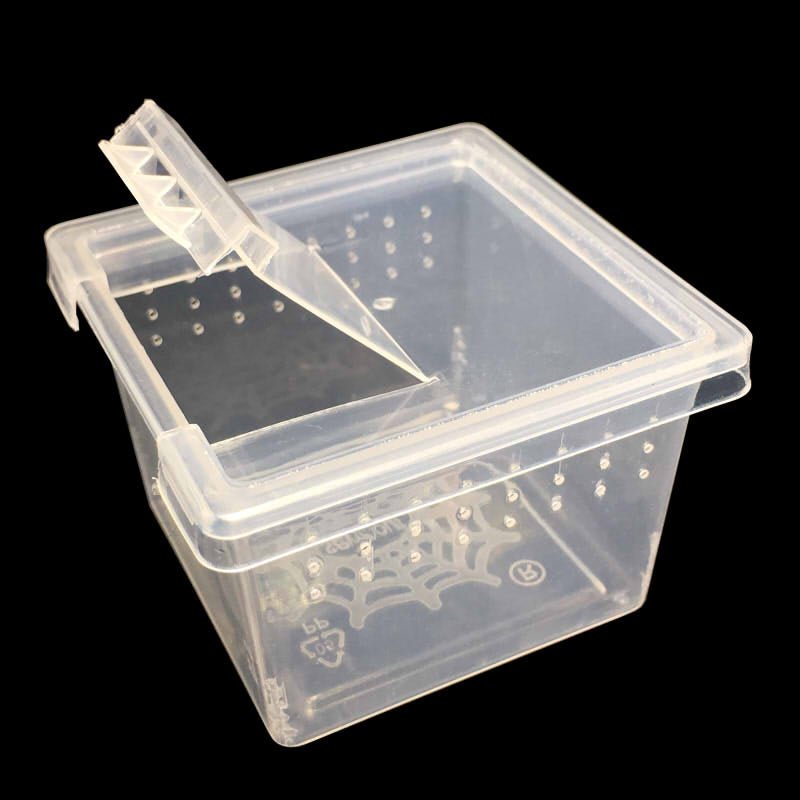 Spider Terrarium - Cube - www.Shopthatapp.com
