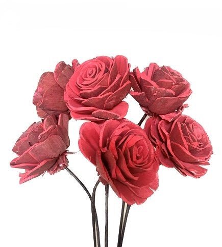 Sola Roses Small - www.Shopthatapp.com