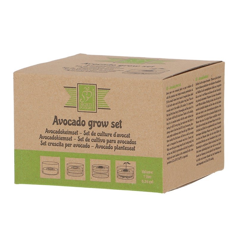 Avocado Grow Set - www.Shopthatapp.com