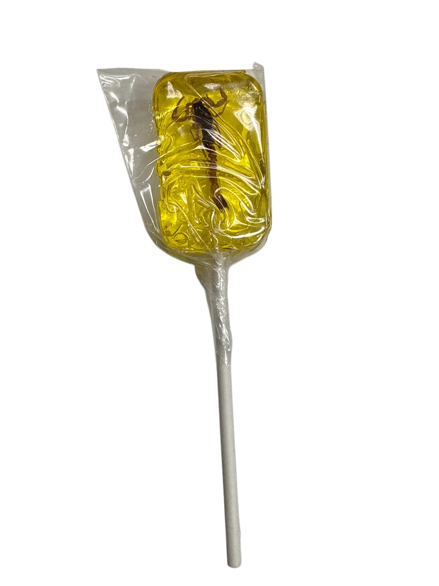 Hotlix Halloween Real Scorpion Suckers 31G - U.S Edition - www.Shopthatapp.com