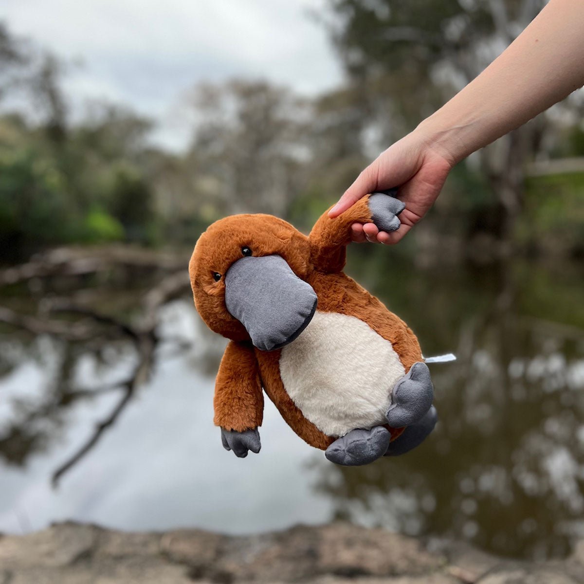 Platypus - www.Shopthatapp.com