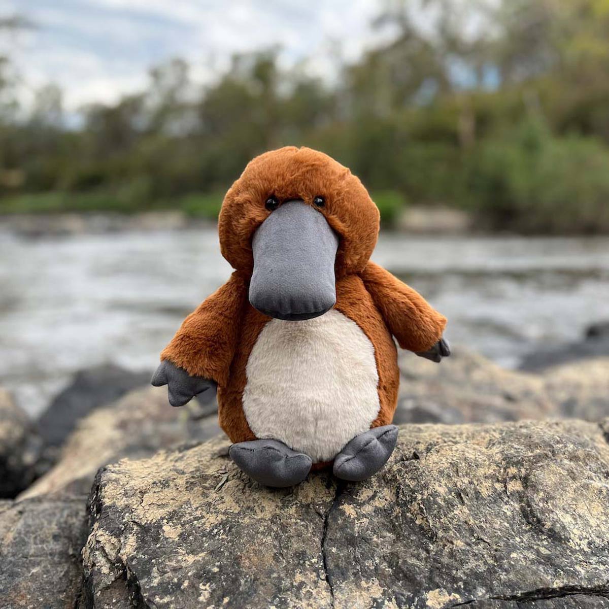 Platypus - www.Shopthatapp.com
