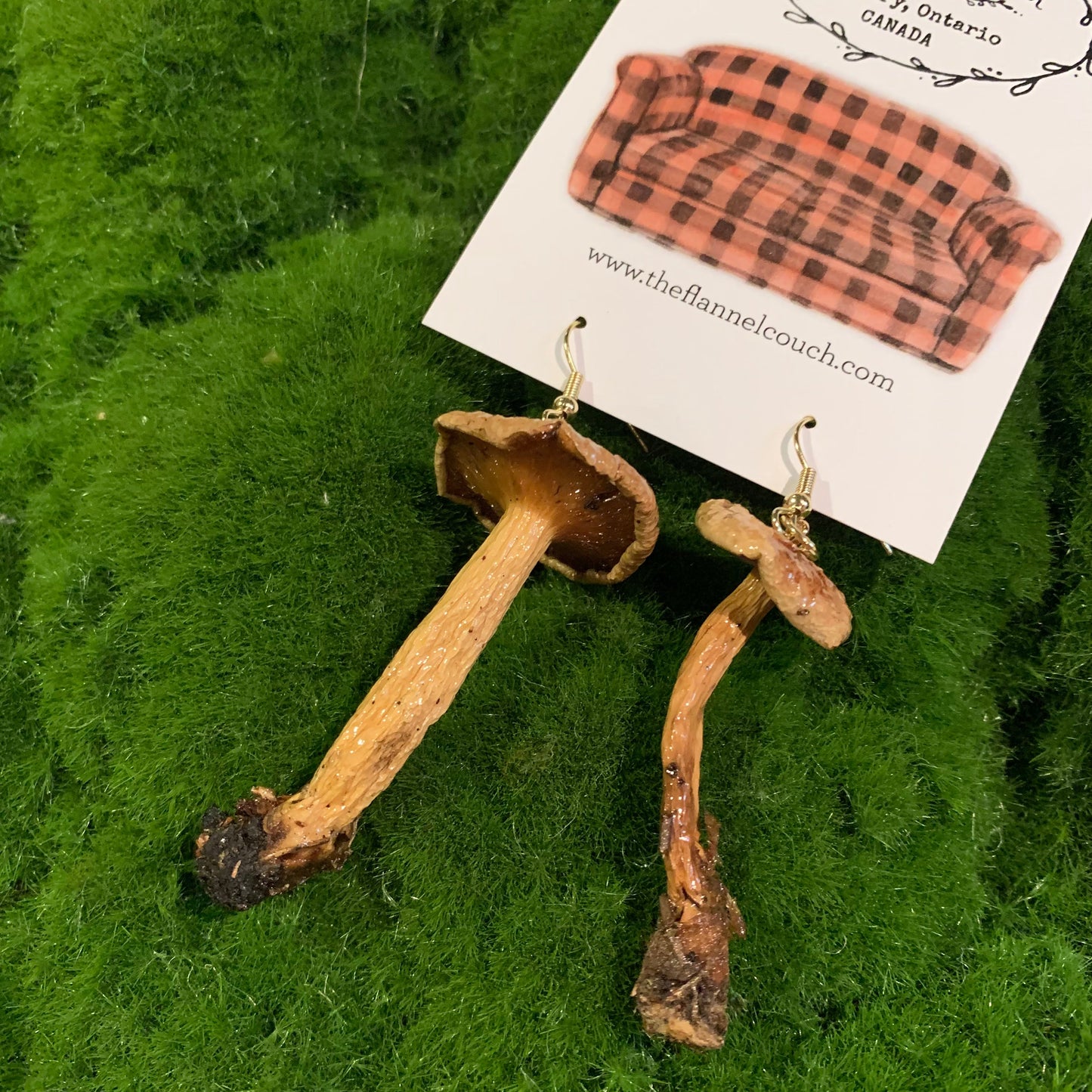 Boucles d'oreilles champignons sauvages de l'Ontario