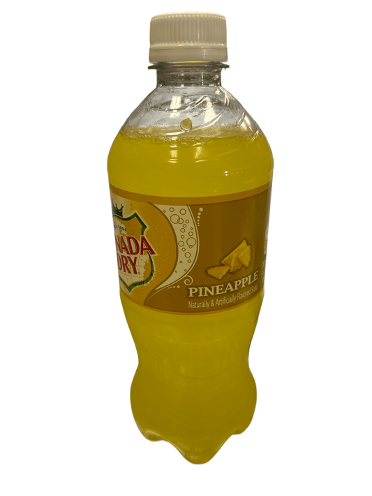 Canada Dry Pineapple Bottle 591ML - www.Shopthatapp.com