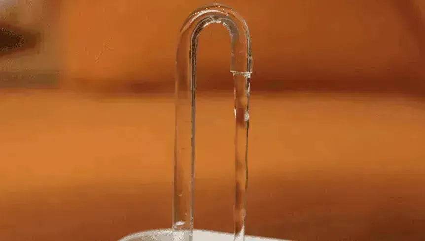 Pet Water Dispenser & Water Filter with a Fountain - www.Shopthatapp.com