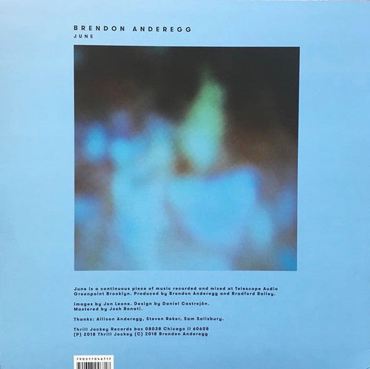 Brendon Anderegg / June - LP - www.Shopthatapp.com