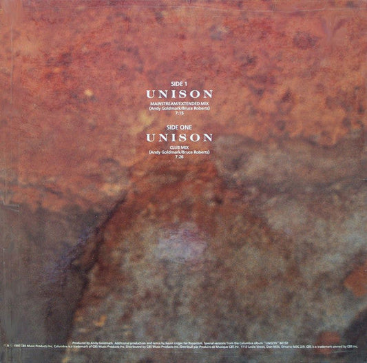 Celine Dion / Unison - 12" (Used) - www.Shopthatapp.com