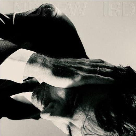 Andrew Bird / Inside Problems - LP - www.Shopthatapp.com