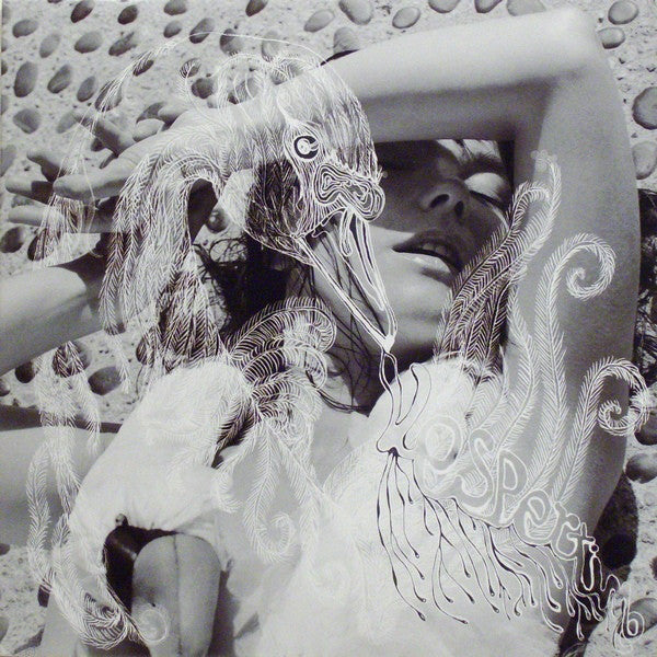 Björk / Vespertine - 2LP - www.Shopthatapp.com