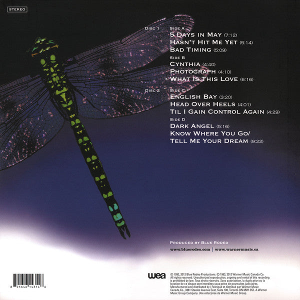 Blue Rodeo / Five Days In July - LP - www.Shopthatapp.com