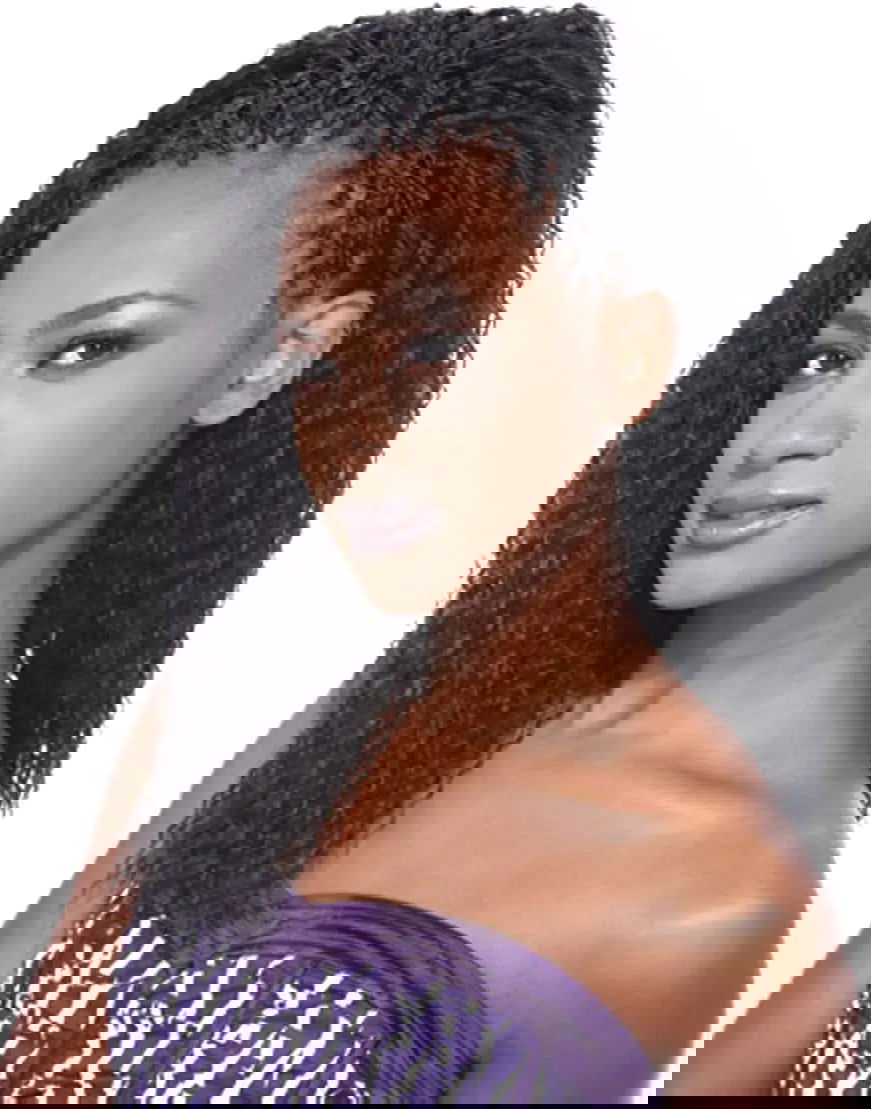 Shake N Go Freetress Braid Bulk - BRAZILIAN BRAID 20" - www.Shopthatapp.com