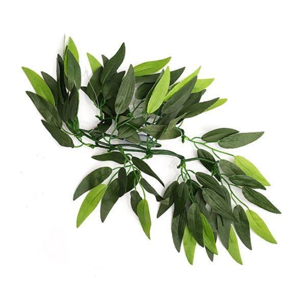 Plantes de terrarium REPTIZOO – Heternanthera Zosterifolia 20" #TP001